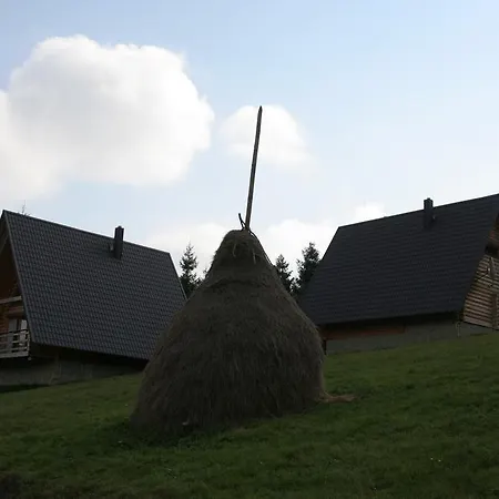 Oryavchik
