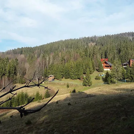 Oryavchik *